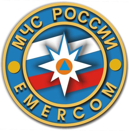 МЧС EMERCOM эмблема