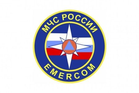 Эмблема Эмерком