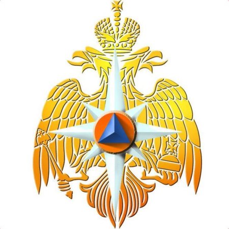 МЧС России EMERCOM эмблема