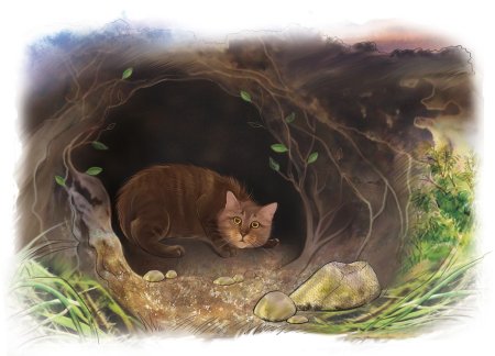 Нора коты Воители