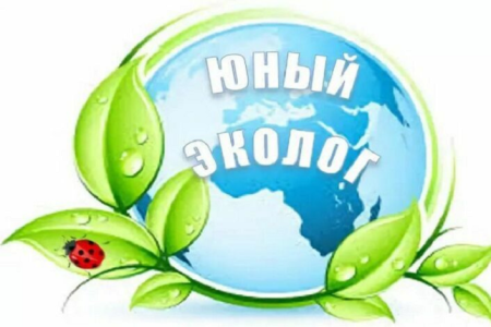 Эмблемы Юный эколог для детей