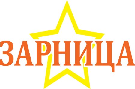 Эмблема игры Зарница