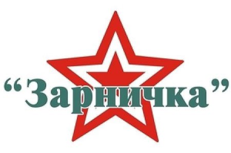 Звезда армия России