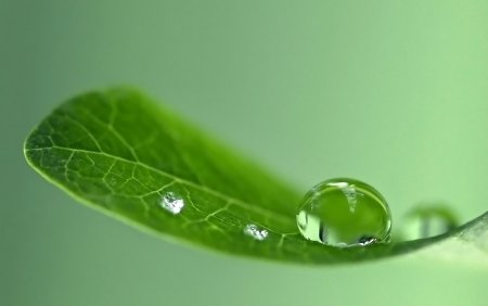Капельки воды с листиком