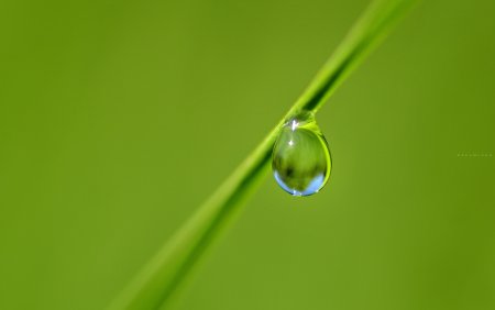 Зеленая капля воды