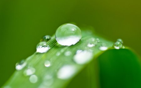 Капля воды
