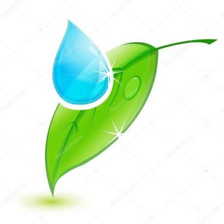 Капля воды на листочке