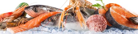 Рыба и морепродукты