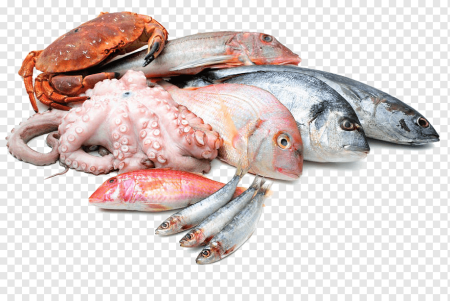 Рыба и морепродукты на прозрачном фоне