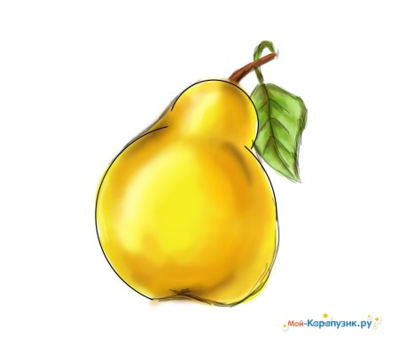 Груша рисунок
