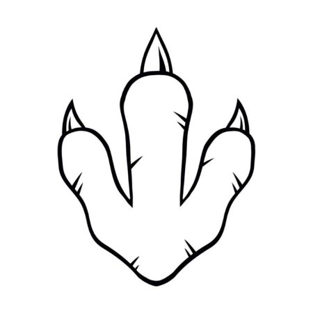 Penguin footprints PNG