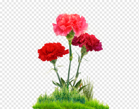 Гвоздики для детей