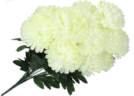 Хризантемы Ижевск