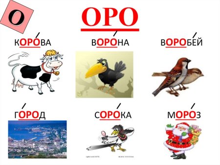 Словарные слова в картинках