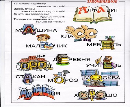 Словарные слова в картинках