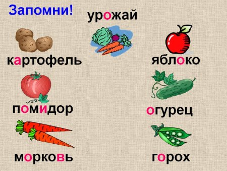 Словарные слова в картинках