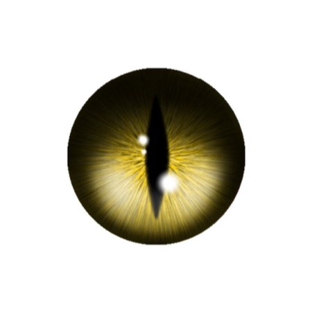 Глаза кошки