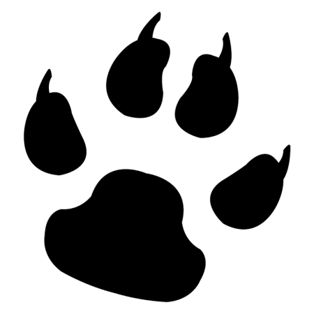 Кошачьи следы