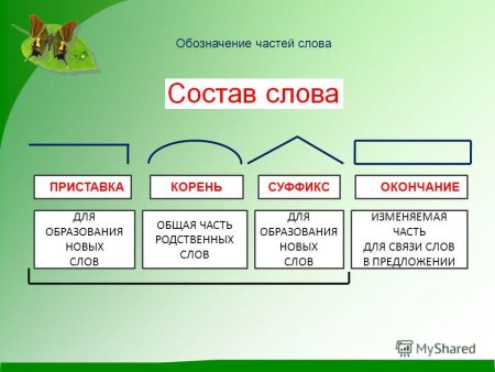 Части слова в русском языке