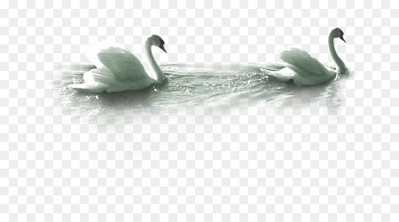 Лебеди для фотошопа