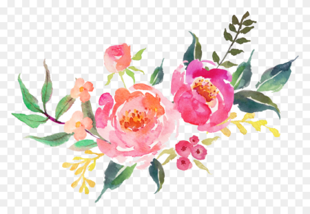 Шиповник цветы