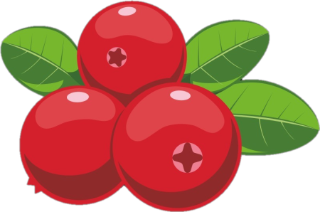 Ягоды клюквы вектор