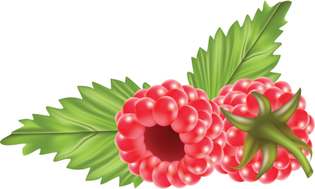 Малина вектор