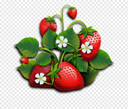 Вишня вектор