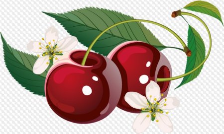 Крыжовник вектор
