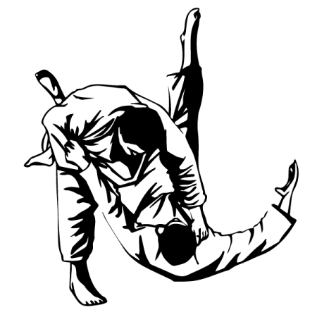 Дзюдо силуэт