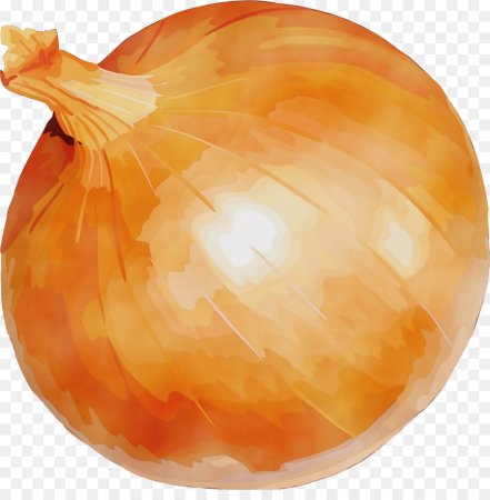 Овощи для детей лук
