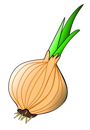 Лук картинка