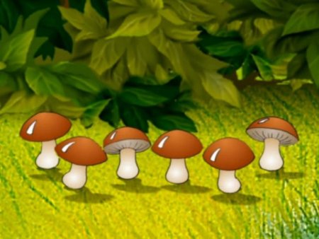 Сказочные грибы