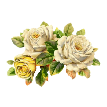 Винтажные розы без фона