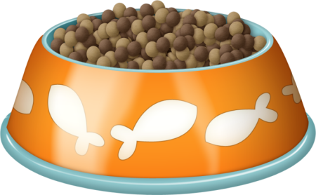 Миски для еды для кошек