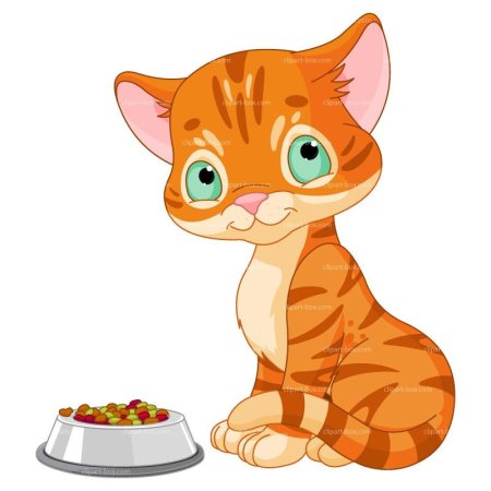 Котенок лакает молоко