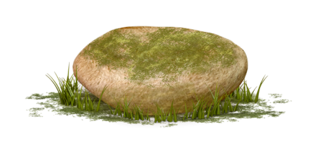 Камыш рисунок