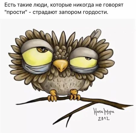 Уставшая Сова