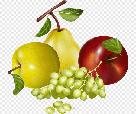 Фрукты на прозрачном фоне