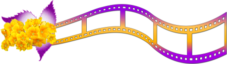 Лента фотографий