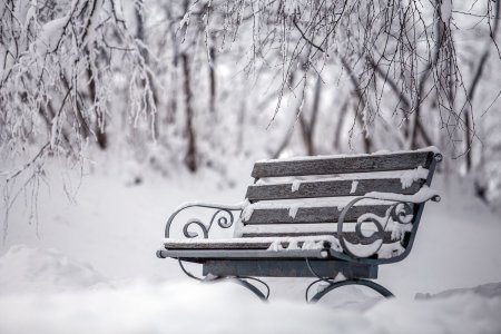 Зимняя скамейка