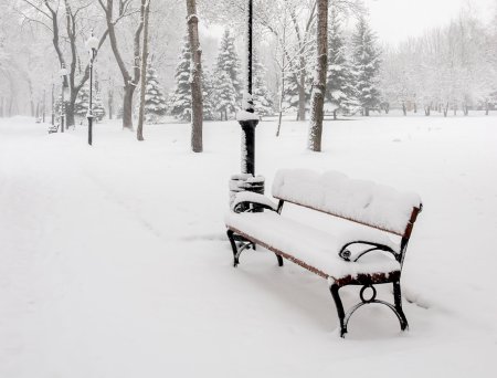 Скамейка в парке зимой
