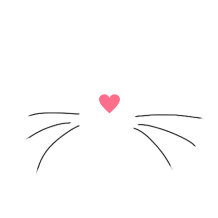 Усики кошки