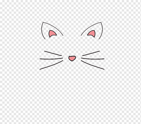 Мордочка кошки на прозрачном фоне