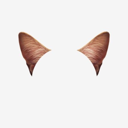 Ушки котика