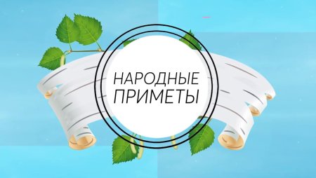 Народная мудрость