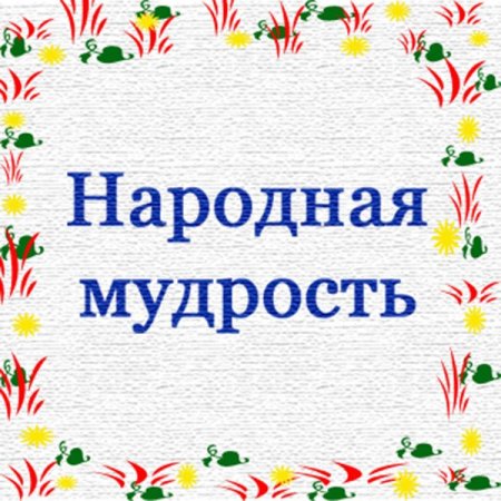 Книга народная мудрость