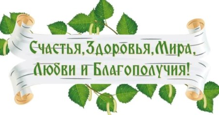 Книжные сокровища