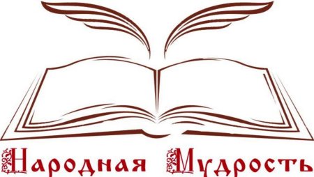 Сова с книгой