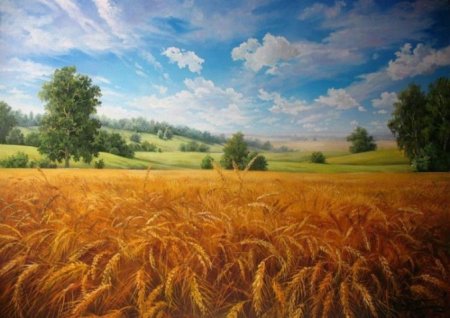 Поле с колосками